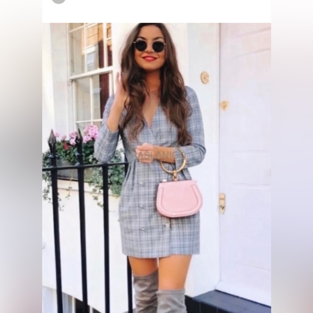 Zara Plaid Double Breasted Blogger Fave Mini Dress